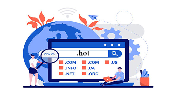 خرید دامنه hot